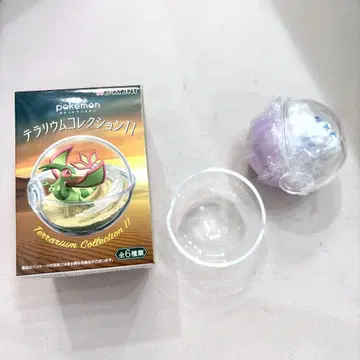 포켓몬