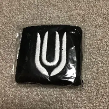 UNISON SQUARE GARDEN 리스트 밴드