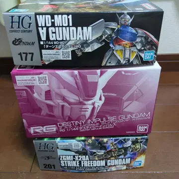HG RG 1/144 스트라이크 프리덤 데스티니 임펄스 턴에이