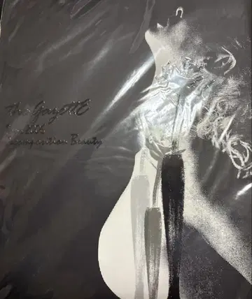 the GazettE 팜플렛 2006년 스티커 포함