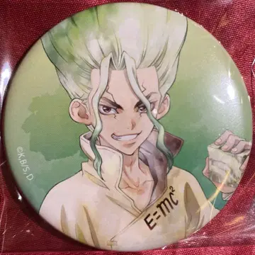 dr.stone pale tone 이시가미 센쿠 캔뱃지