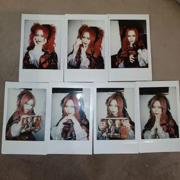 Royz 폴라로이드 코다이 묶음 판매