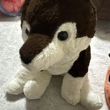 중형 강아지 봉제 인형 브라운과 화이트