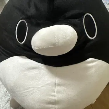 테이코 펭귄