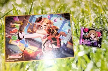 이치가야 아리사 2세트