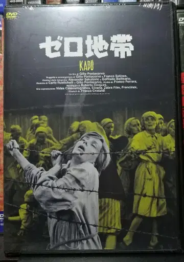 서양화 제로 지대