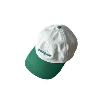 Patagonia 캡 모자 archive y2k