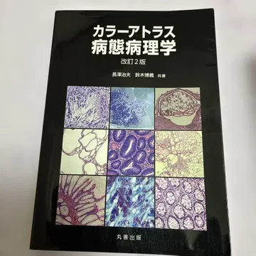 컬러 아틀라스 병태 병리학