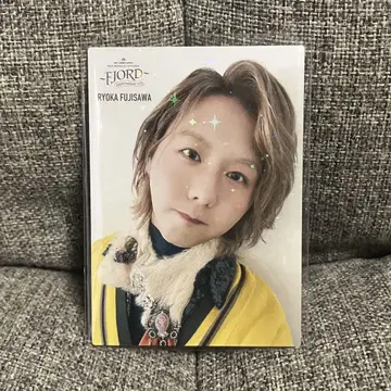미세스 FJORD 피요르드 포토 카드 레어 후지사와 료카 040 덤 포함