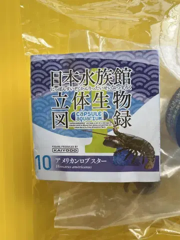 [ 가을 대수확제 ] 일본 수족관 입체 생물 도감 제4권 아메리칸 랍스터