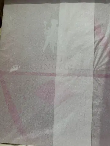 알터 캐스터/멀린 (프로토타입) 피규어