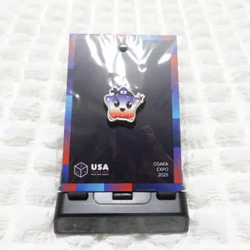 2 미국관 핀 배지 엑스포 파빌리온