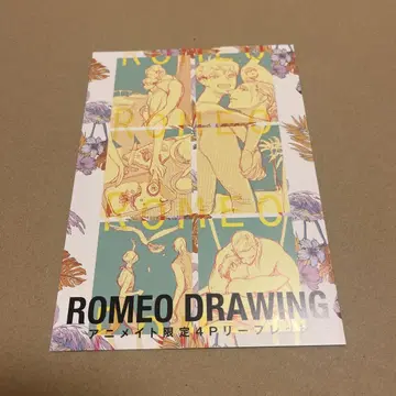 최저가 와타나베 아지아 ROMEO DRAWING 애니메이트 특전 리플렛