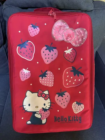 초레어 헤이세이 레트로 키티 보관 케이스 지퍼 달린 정리함