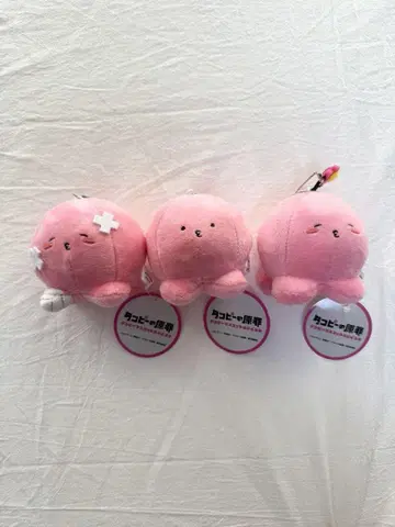 [ 가격 인하 ] 타코피의 원죄 타코피 마스코트 봉제 인형 전 3종 세트