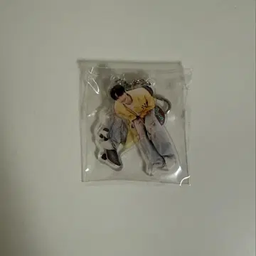 변우석 DICON B type 아크릴 키링 변우석