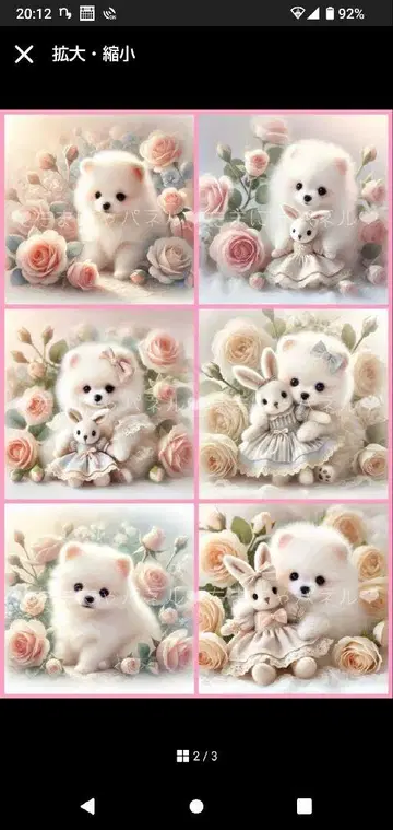 포메라니안 패널 오더 접수