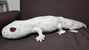 도마뱀형 봉제 인형 본체