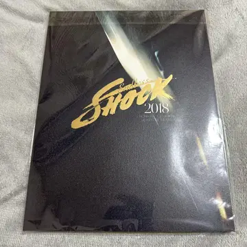 Endless SHOCK 2017 2018 2019 팜플렛
