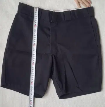 Dickies 874 오리지널 핏 -5L 디키즈