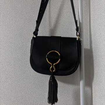 IL BISONTE 숄더백 이탈리아 한정판