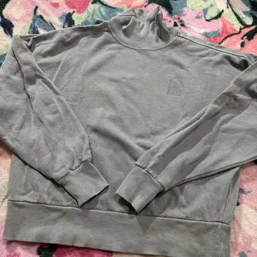 THE NORTH FACE 그레이 트레이닝복 S