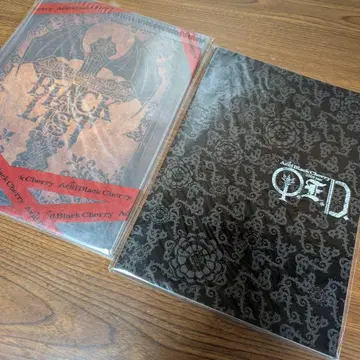 AcidBlackCherry 팜플렛