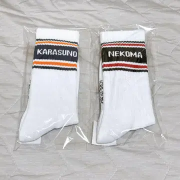 하이큐 쓰레기장의 결전전 삭스 [ 카라스노 코마네코 ]