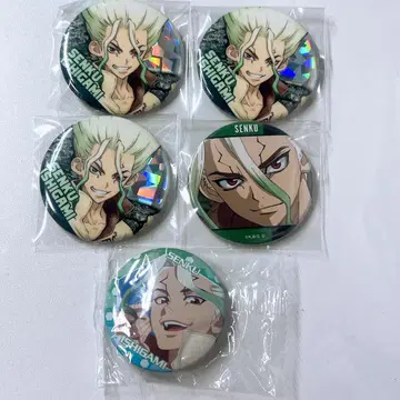 이시가미 센쿠 Dr.STONE 닥터스톤 닥스토 캔뱃지