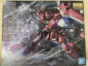MG ZGMF-1000/A1 가나자쿠 워리어 루나마리아 커스텀