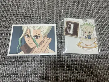 dr.stone 닥스토 아크릴 스탠드 키링 아모카페 이시가미 센쿠