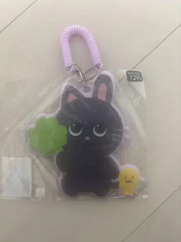 RIIZE moshi moshi 토냥독 원빈 패스케이스
