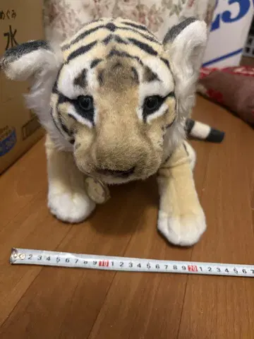 GYP1002 이타리야 이탈리아 봉제 인형 40주년 한정품 호랑이