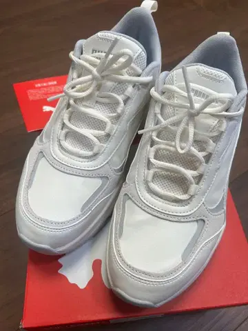 가격 인하 PUMA 캐시미어