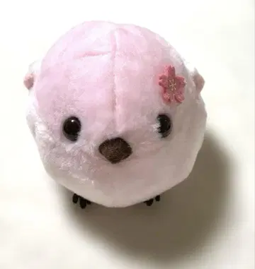 복복 시마연가