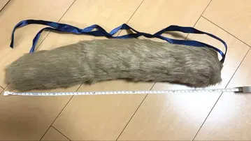 붙임꼬리/케모노