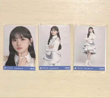 카와사키 사쿠라 노기자카46 2024년 8월 사진 4매 세트