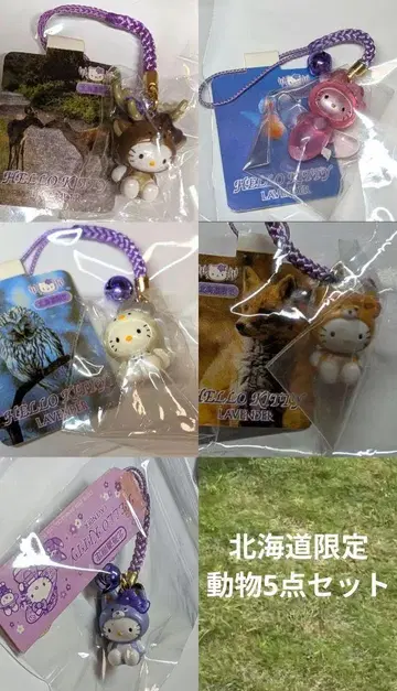 헬로키티 고토치 키티 묶음 판매 홋카이도 동물 시리즈 5세트