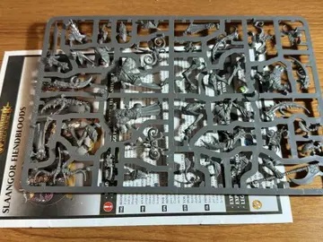 warhammer 슬란골드 피드 브래드