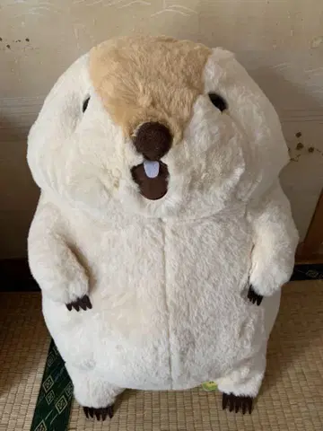 마모트의 모토토모아 울트라 BIG 봉제 인형