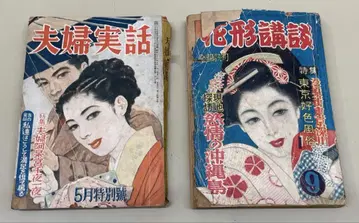 쇼와 레트로 관능 소설 골동품 고서 (2권 세트)