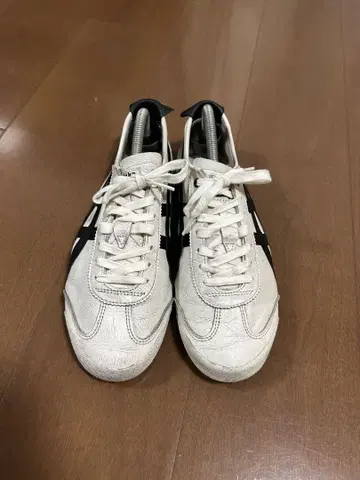 멕시코 66