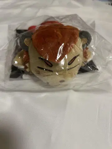 이마이치 류지 어깨 탑승 라이지