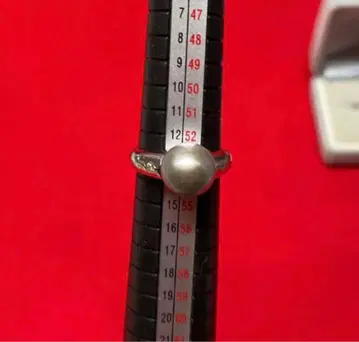 빅 펄 반지