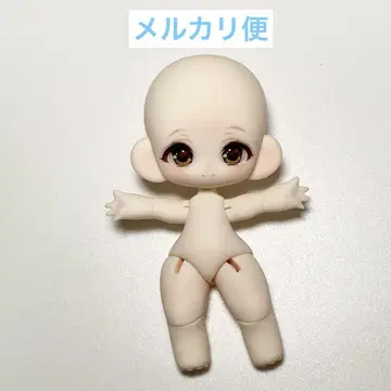강아지 솜사탕 인증서 포함