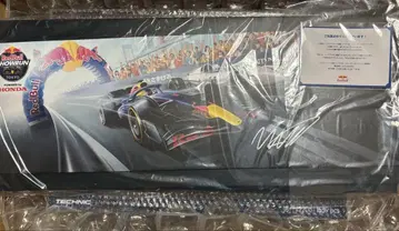 맥스 페르스타펜 친필 사인 LEGO verstappen F1