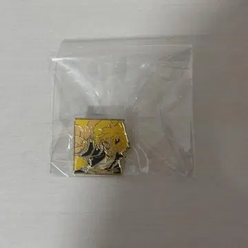 히로아카 가미나리 덴키 핀즈