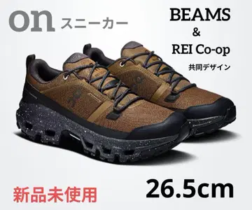 ON Cloudrock Low BEAMS REI 남성용 스니커즈 브라운