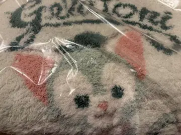 디즈니 제라피케 젤라토니