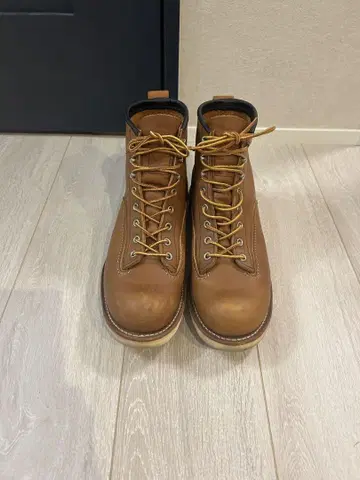 레드윙 남성용 부츠 27.5cm